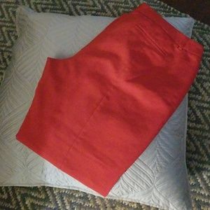 Red dress pant 18L